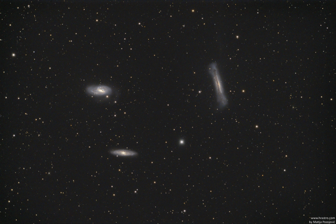 The Leo Triplet (M66 group)