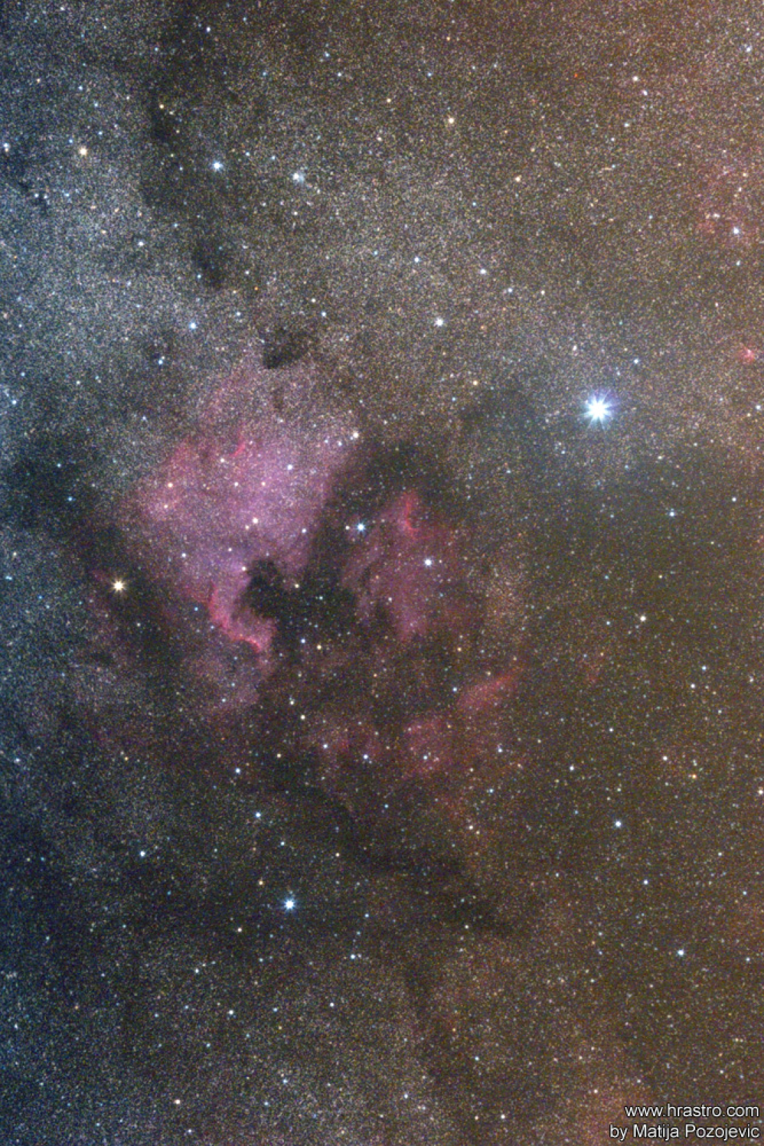 North America or NGC7000