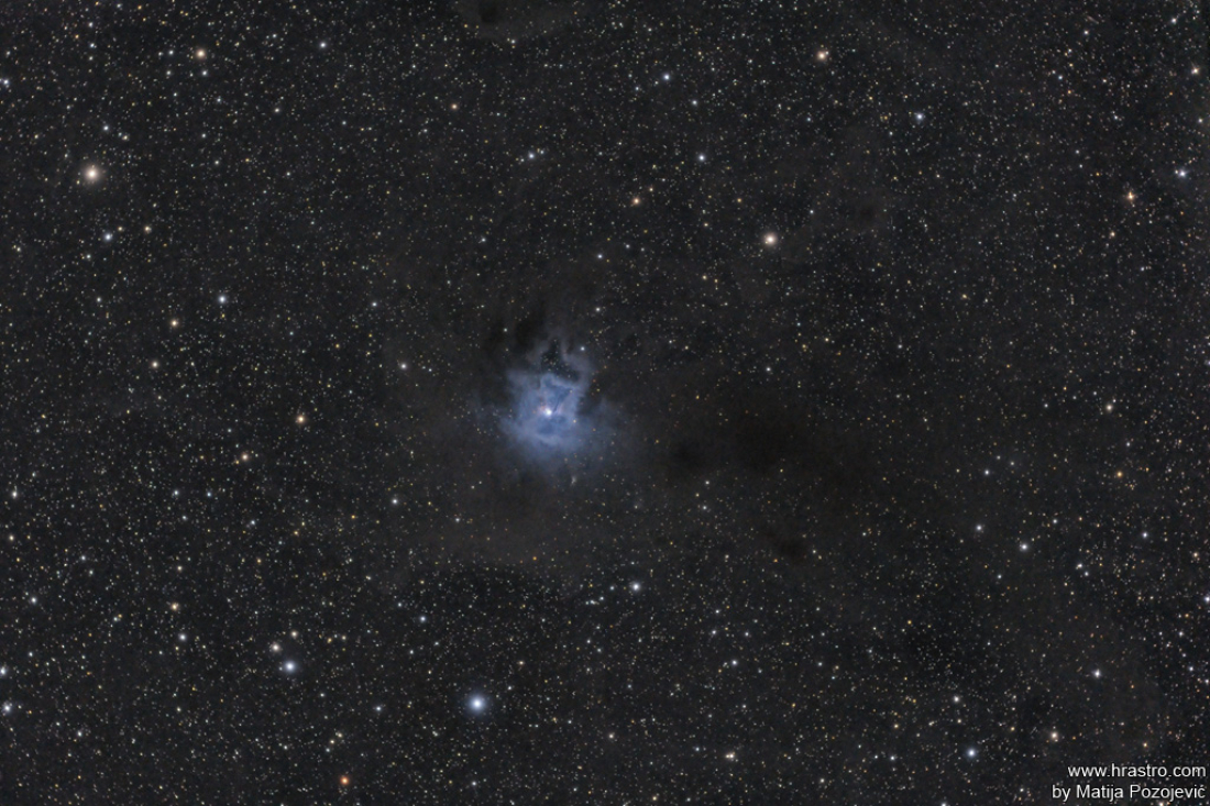 NGC7023, Iris nebula