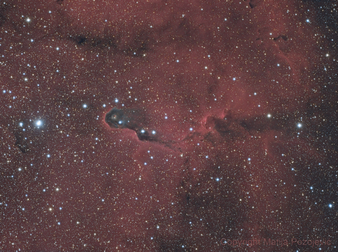 Elephant's trunk nebula