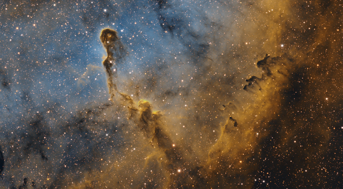 The Elephant's Trunk Nebula (IC 1396A)