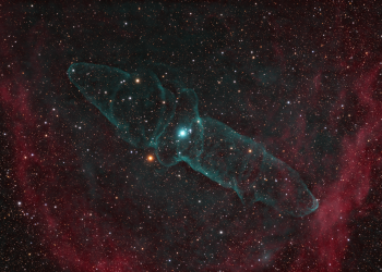 Sh2-129, OU4, Flying Bat and Squid Nebulae