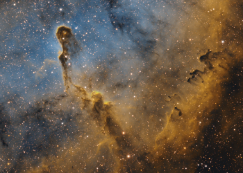 The Elephant's Trunk Nebula (IC 1396A)